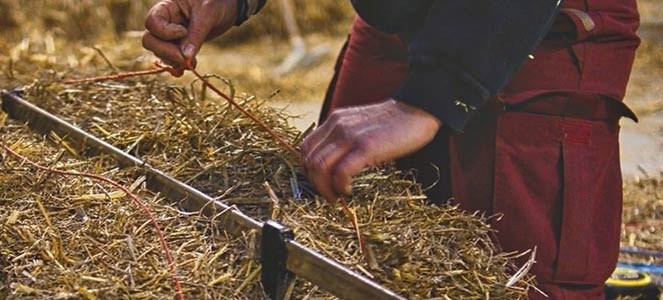 Des actions du RFCP, cofinancées grâce à UP STRAW